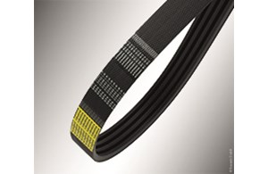 Kraftband SPZ 2-rippig Strongbelt